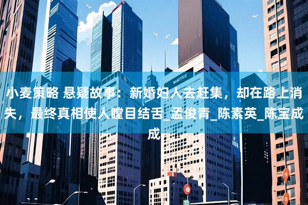 小麦策略 悬疑故事：新婚妇人去赶集，却在路上消失，最终真相使人瞠目结舌_孟俊青_陈素英_陈宝成